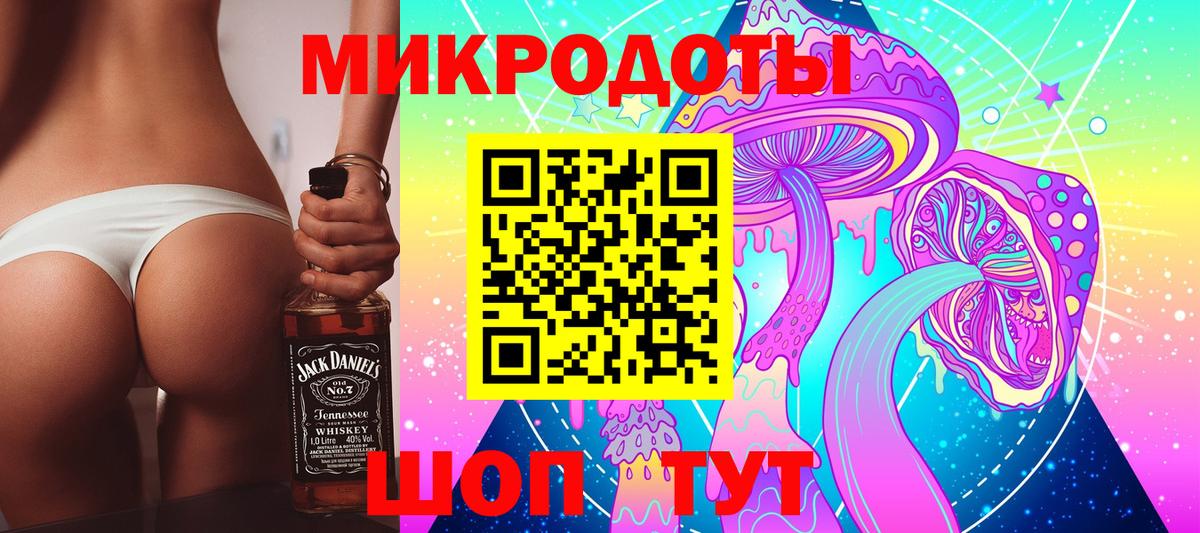 Галлюциногенные грибы Psilocybine cubensis Полысаево