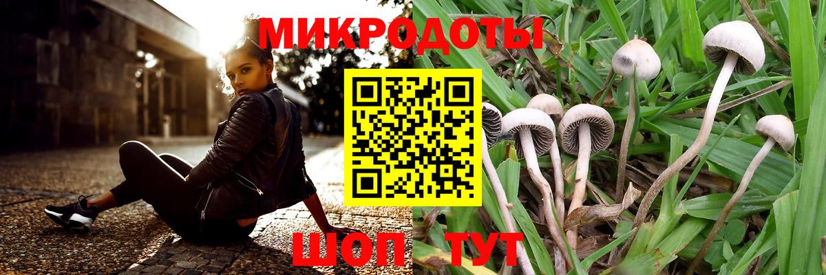 Полысаево  даркнет сайт  Псилоцибиновые грибы Magic Shrooms  Вход с VPN  Псилоцибиновые грибы мицелий 